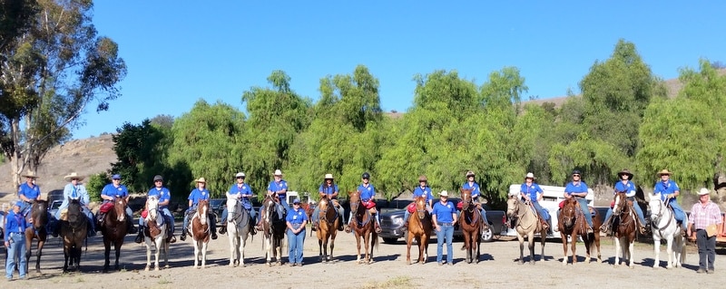 Mounted Assistance Unit MAU Countywide Training 2015