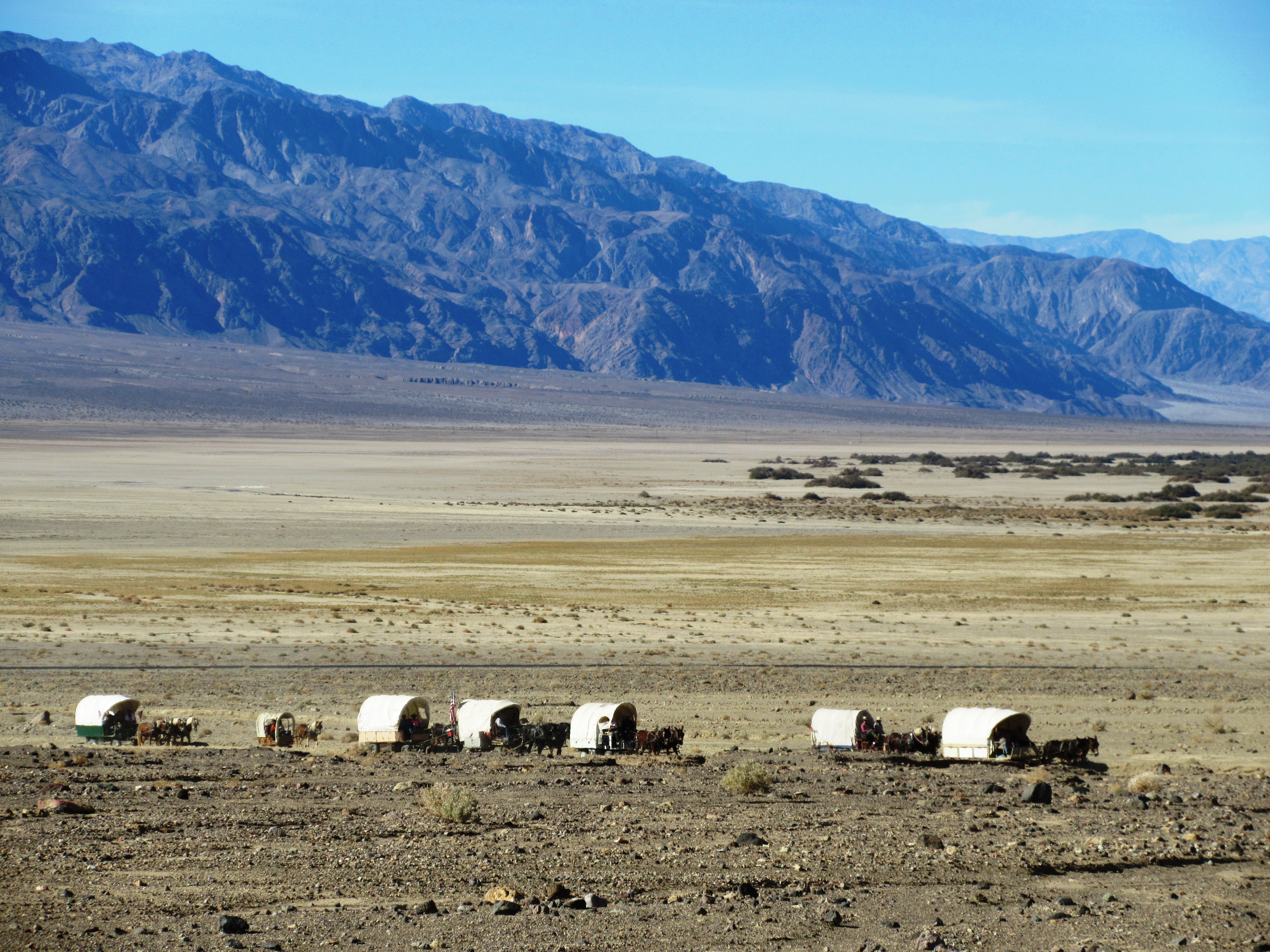 C-14-Wagons-entering-Desolation-Canyon