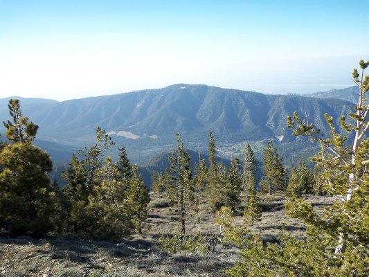 C-22-Mt-Pinos